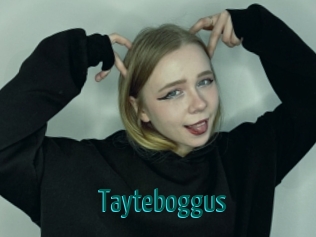 Tayteboggus