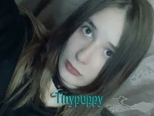 Tinypuppy