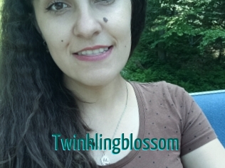 twinklingblossom Guide du Queutard