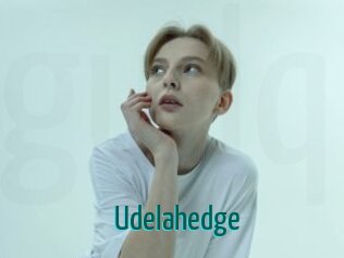 Udelahedge