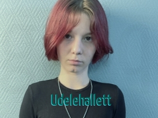 Udelehallett