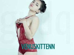 VENUSKITTENN