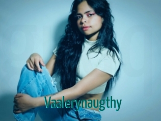 Vaalerynaugthy