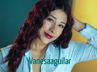 Vanesaaguilar