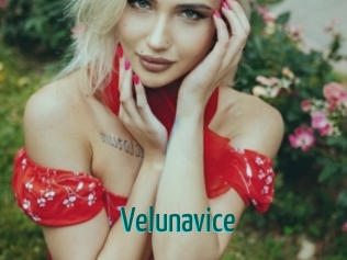 velunavice Guide du Queutard