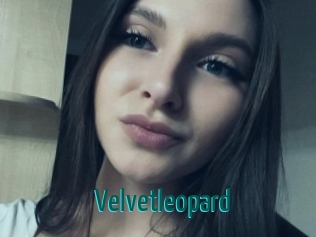 Velvetleopard