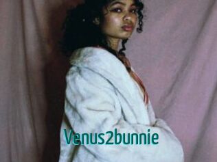 Venus2bunnie
