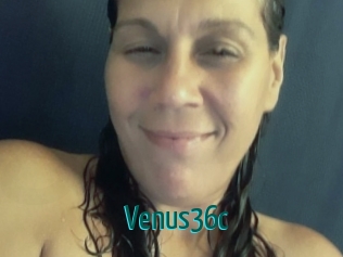 Venus36c