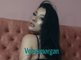 Venusmorgan