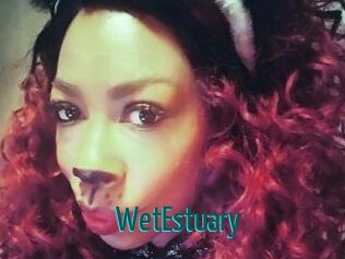 WetEstuary Guide du Queutard
