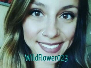 WildFlower023