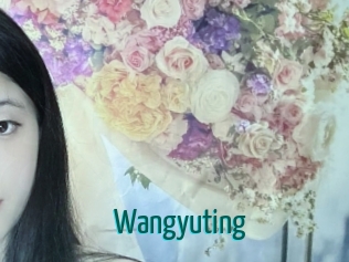 Wangyuting