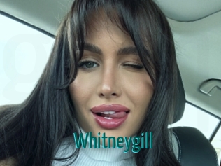 Whitneygill