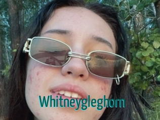 Whitneygleghorn