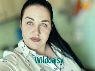 Wilddaisy