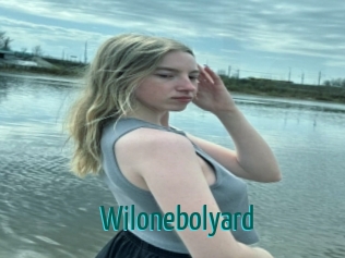 Wilonebolyard