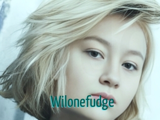 Wilonefudge