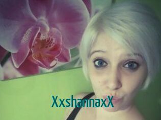 Shannasteve
