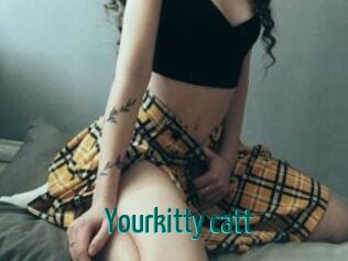 Yourkitty_catt