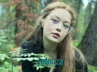 Zadnizza