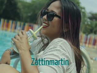 Zattinmartin