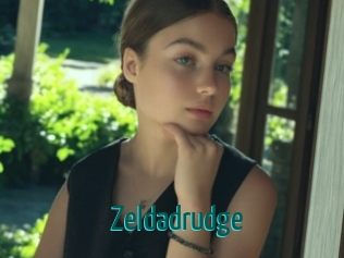 Zeldadrudge